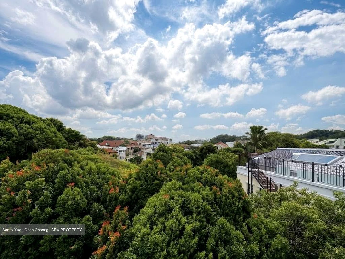 Banyan Park (D5), Terrace #566682801